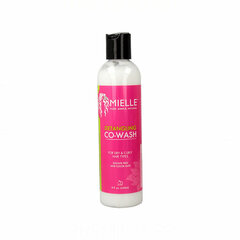 Palsam Mielle Detangling Co-Wash (240 ml) цена и информация | Бальзамы, кондиционеры | kaup24.ee