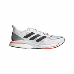 Мужские спортивные кроссовки Adidas Run Falcon 2.0 Белый Мужской цена и информация | Кроссовки для мужчин | kaup24.ee