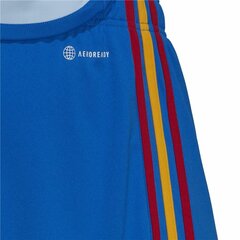 Спортивные мужские шорты Adidas Spain National Team Away '22 Синий цена и информация | Мужская спортивная одежда | kaup24.ee