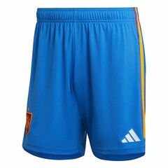 Спортивные мужские шорты Adidas Spain National Team Away '22 Синий цена и информация | Мужская спортивная одежда | kaup24.ee