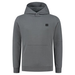 Gymtech hoodie superdry ms311497a07q vīriešiem pilka men's grey MS311497A07Q цена и информация | Мужские толстовки | kaup24.ee