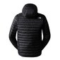 Jakk meestele The North Face, must цена и информация | Meeste joped | kaup24.ee