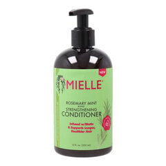 Palsam Mielle Strengthening Münt Rosmariin, 355 ml hind ja info | Juuksepalsamid | kaup24.ee