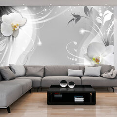 Fototapeet - Charming orchid hind ja info | Fototapeedid | kaup24.ee