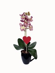 Kunstlik orhidee Tüdruk, 35cm hind ja info | Kunstlilled | kaup24.ee