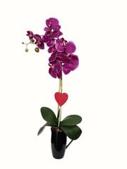 Искусственная орхидея Венера, 55см цена и информация | Искусственные цветы | kaup24.ee