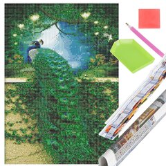 Арт-набор daimond painting Springos DP0047, 30х40 см цена и информация | Живопись по номерам | kaup24.ee