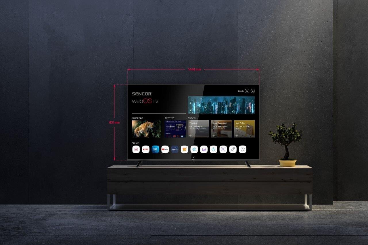 Sencor SLE 65US801TCSB UHD WEB OS цена и информация | Telerid | kaup24.ee