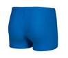 Ujumispüksid lastele Arena Splash Point Swim Short Blue China hind ja info | Poiste ujumispüksid | kaup24.ee