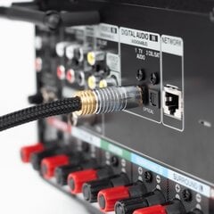 Reagle Toslink T-T Audio, 10m цена и информация | Кабели и провода | kaup24.ee