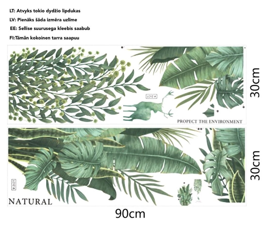 Interjööri kleebis Rohelised taimed hind ja info | Seinakleebised | kaup24.ee