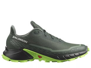 Alphacross 5 salomon l47311700 vīriešiem žalioji men's green L47311700 цена и информация | Кроссовки для мужчин | kaup24.ee