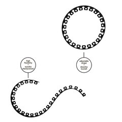 Muruäärise komplekt Easy Border 40mm, Must hind ja info | Aiad ja tarvikud | kaup24.ee