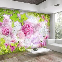 Fototapeet - Peonies цена и информация | Фотообои | kaup24.ee