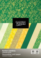 Dekoratiivpaber Galeria Papieru A4 220-250g, 10 tk. hind ja info | Vihikud, märkmikud ja paberikaubad | kaup24.ee