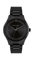 Calvin Klein CK Iconic unisex часы цена и информация | Женские часы | kaup24.ee