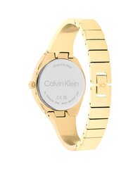 Calvin Klein Charming женские часы цена и информация | Женские часы | kaup24.ee