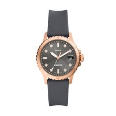 Fossil FB-01 женские часы цена и информация | Женские часы | kaup24.ee