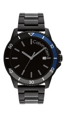 Calvin Klein Aqueous мужские часы цена и информация | Мужские часы | kaup24.ee