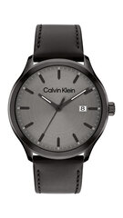 Calvin Klein Define мужские часы цена и информация | Мужские часы | kaup24.ee