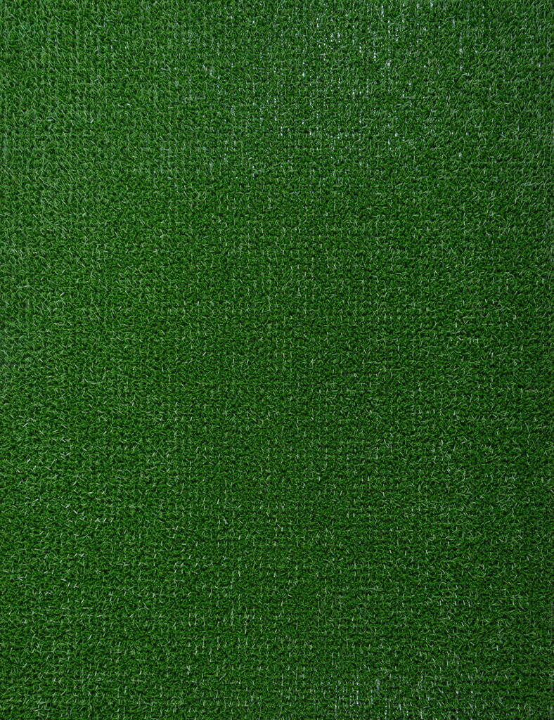 Uksematt Astroturf, 91x100 cm цена и информация | Uksematid | kaup24.ee