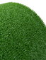 Uksematt Astroturf, 91x100 cm цена и информация | Uksematid | kaup24.ee