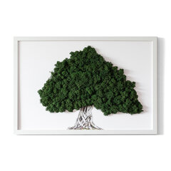 Pilt Samblaga Puu valgel taustal juurtega puu, 60x40 цена и информация | Картины, живопись | kaup24.ee