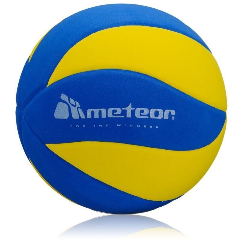 Võrkpalli pall Meteor Eva, suurus 5 hind ja info | Võrkpalli pallid | kaup24.ee