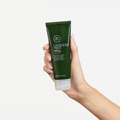 Крем для волос Paul Mitchell Tea Tree Lavender Mint Taming Cream, 100 мл цена и информация | Средства для укладки волос | kaup24.ee