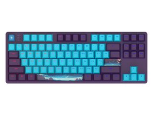 Клавиатура Dark Project One - 87 Night Sky - RGB ANSI (ENG/UA) цена и информация | Клавиатура с игровой мышью 3GO COMBODRILEW2 USB ES | kaup24.ee