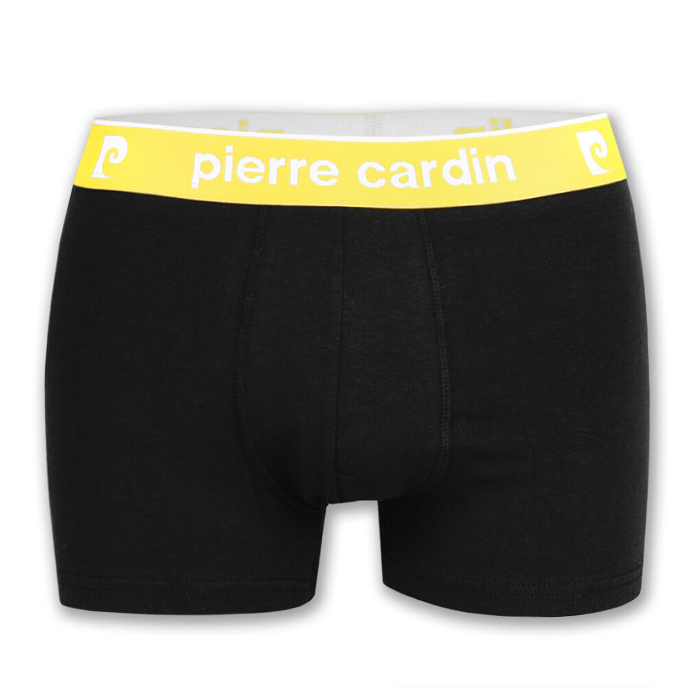 Pierre Cardin bokserid meestele, 4 tk hind ja info | Meeste aluspesu | kaup24.ee