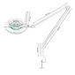 LED suurenduslamp - Glow 8021, 12W hind ja info | Laualambid | kaup24.ee