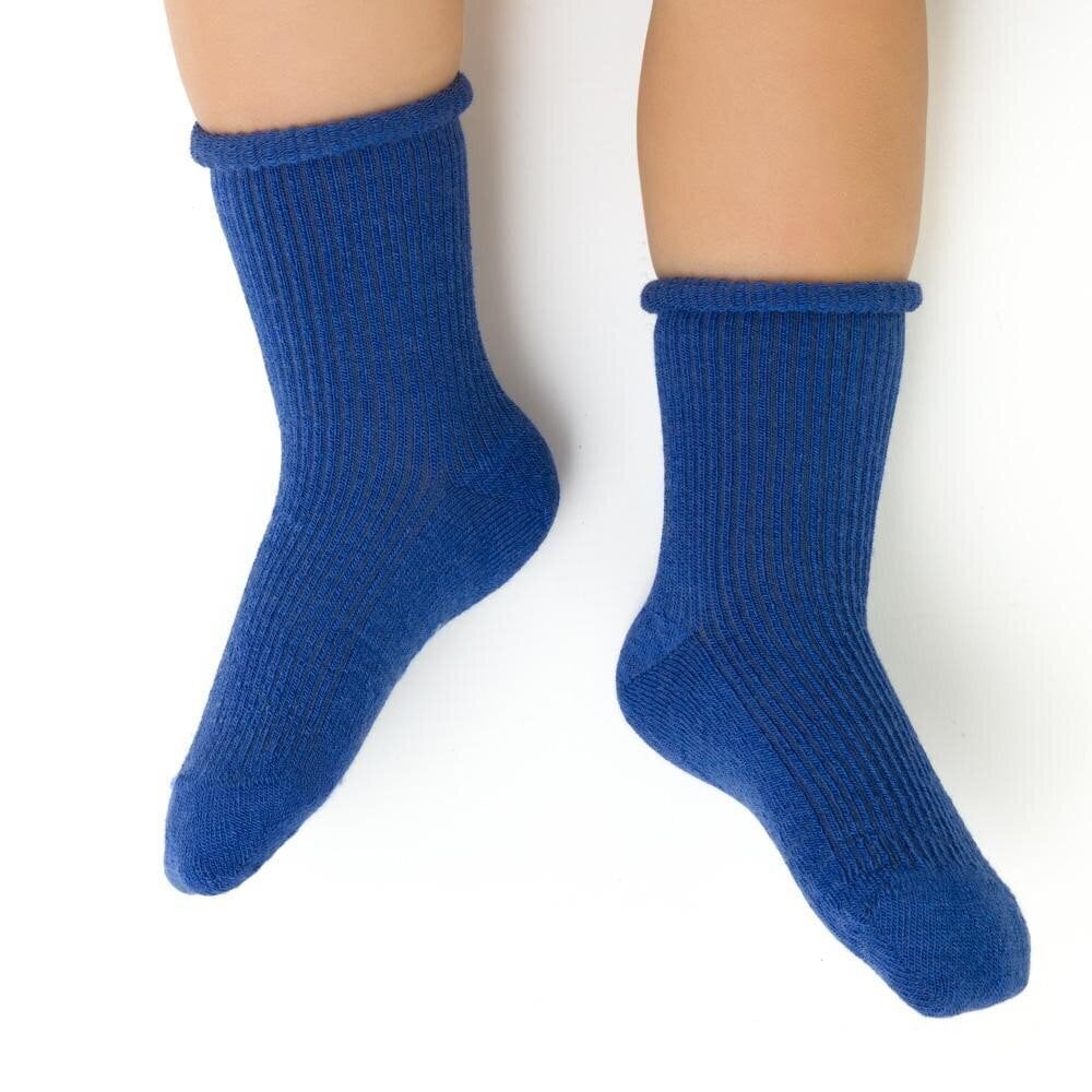 Sokid poistele, sinine hind ja info | Poiste sukkpüksid ja sokid | kaup24.ee