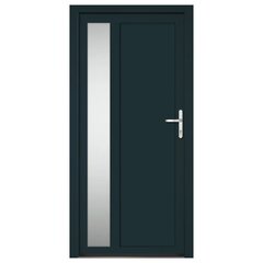 vidaXL välisuks, antratsiithall, 98 x 200 cm, PVC цена и информация | Уличные двери | kaup24.ee