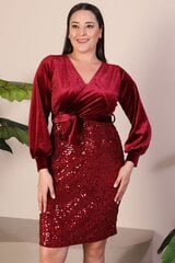 Kleit naistele T1329, punane hind ja info | Kleidid | kaup24.ee