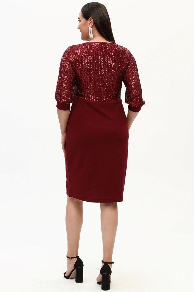 Kleit naistele T1306, punane hind ja info | Kleidid | kaup24.ee