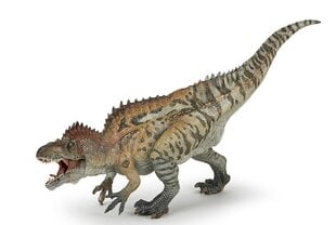 Фигура Papo Akrokantosaurus цена и информация | Развивающий мелкую моторику - кинетический песок KeyCraft NV215 (80 г) детям от 3+ лет, бежевый | kaup24.ee