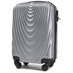 Маленький чемодан для ручной клади Silver FALCON цена и информация | Чемоданы, дорожные сумки | kaup24.ee