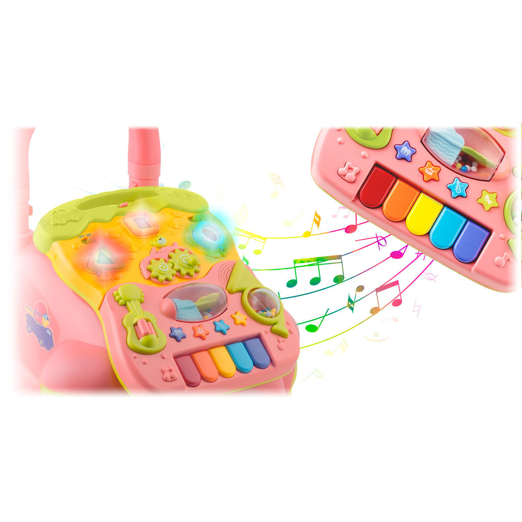Muusikaga jalutuskäru Ricokids 2in1 RK-744, roosa цена и информация | Imikute mänguasjad | kaup24.ee