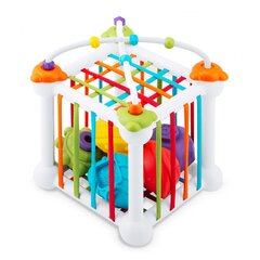 Развивающий кубик Ricokids RK-759 цена и информация | Развивающие игрушки | kaup24.ee