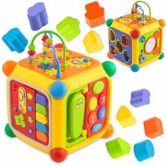 Развивающий кубик Ricokids RK-747 цена и информация | Игрушки для малышей | kaup24.ee