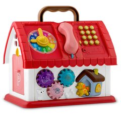 Развивающий игрушечный домик с телефоном RK-754 Ricokids цена и информация | Развивающие игрушки и игры | kaup24.ee