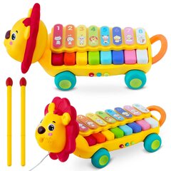 Arendav mänguasi Ricokids Xylophone Lion, RK-740 цена и информация | Игрушки для малышей | kaup24.ee