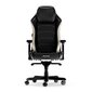 Mänguritool Dxracer Master M23-NW hind ja info | Kontoritoolid | kaup24.ee