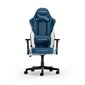 Mänguritool Dxracer Gladiator Series L N23, Valge&Sinine hind ja info | Kontoritoolid | kaup24.ee