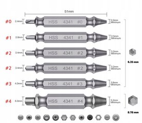 НАБОР ВИНТОВЫХ ЭКСТРАКТОРОВ ДЛЯ СЛОМАННЫХ ВИНТОВ 6 ЭЛ. цена и информация | Механические инструменты | kaup24.ee