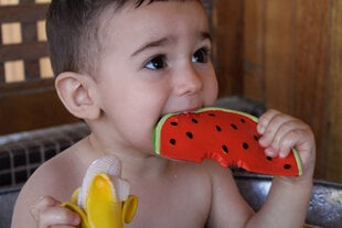 Жевательная игрушка Oli&Carol, Wally the Watermelon, 1 шт. цена и информация | Прорезыватели | kaup24.ee
