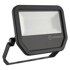 LED уличный прожектор Ledvance, Floodlight Performance, 50Вт, 4000К цена и информация | Фонарики, прожекторы | kaup24.ee