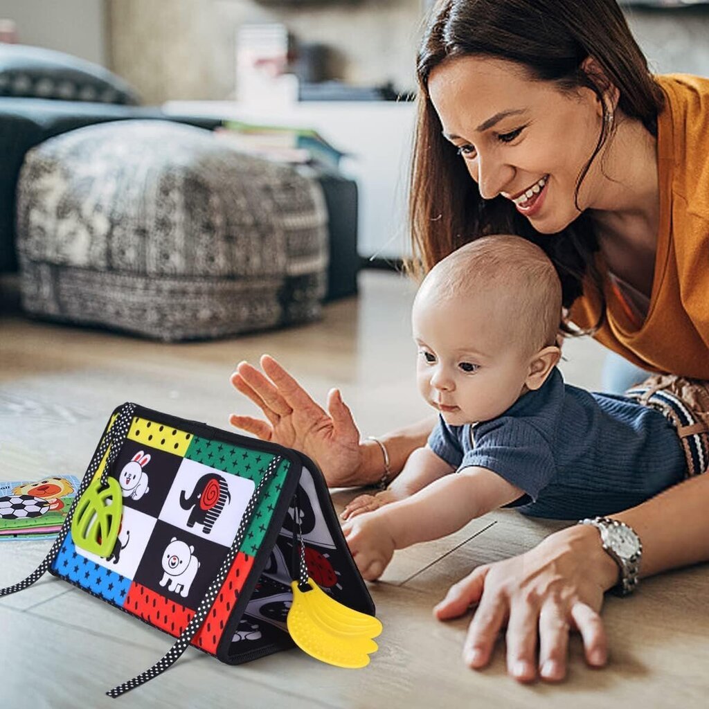 Kilpkonn peegel beebidele Tummy Time vanuses 0-6 kuud hind ja info | Imikute mänguasjad | kaup24.ee