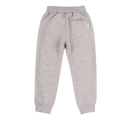 Тонкие спортивные штаны для мальчика, серый цена и информация | Шорты для мальчиков | kaup24.ee